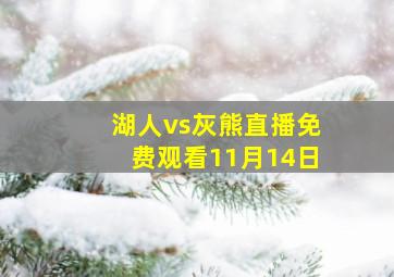 湖人vs灰熊直播免费观看11月14日