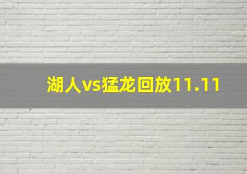 湖人vs猛龙回放11.11