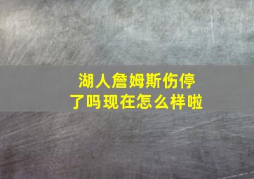 湖人詹姆斯伤停了吗现在怎么样啦