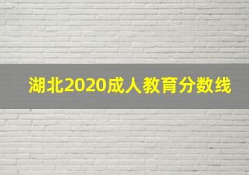 湖北2020成人教育分数线