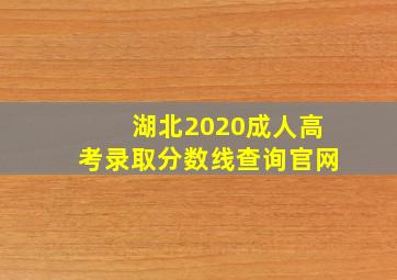 湖北2020成人高考录取分数线查询官网