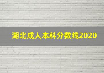 湖北成人本科分数线2020