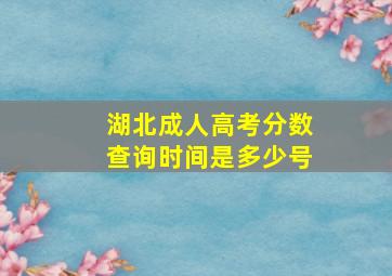 湖北成人高考分数查询时间是多少号