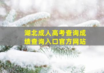 湖北成人高考查询成绩查询入口官方网站