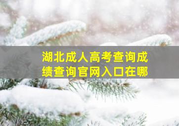 湖北成人高考查询成绩查询官网入口在哪