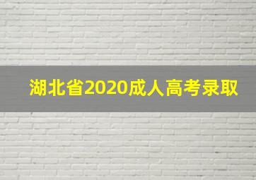 湖北省2020成人高考录取