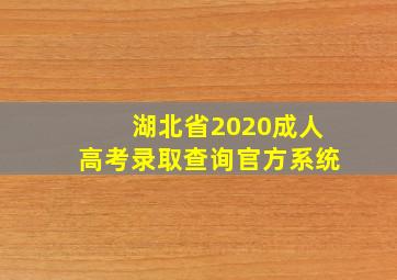 湖北省2020成人高考录取查询官方系统