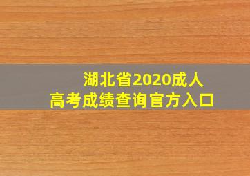 湖北省2020成人高考成绩查询官方入口