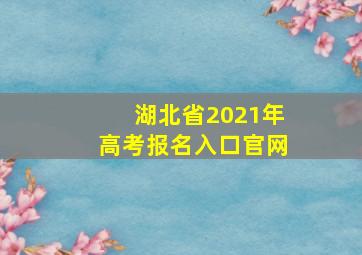 湖北省2021年高考报名入口官网