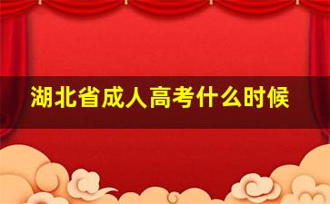 湖北省成人高考什么时候