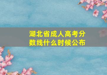 湖北省成人高考分数线什么时候公布