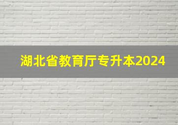 湖北省教育厅专升本2024