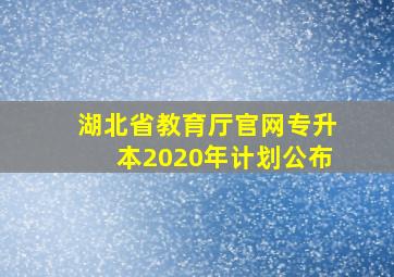 湖北省教育厅官网专升本2020年计划公布