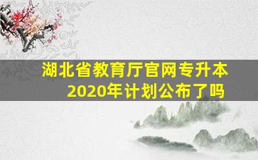 湖北省教育厅官网专升本2020年计划公布了吗