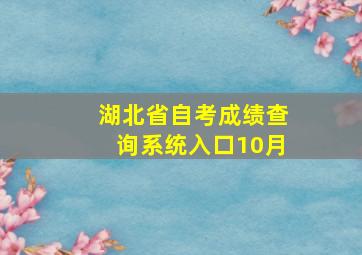 湖北省自考成绩查询系统入口10月