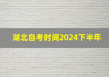 湖北自考时间2024下半年