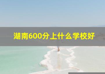 湖南600分上什么学校好