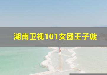 湖南卫视101女团王子璇