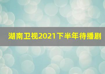 湖南卫视2021下半年待播剧