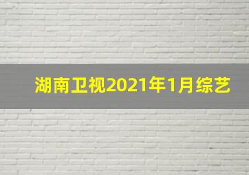 湖南卫视2021年1月综艺