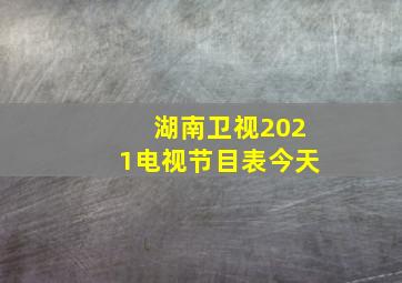 湖南卫视2021电视节目表今天