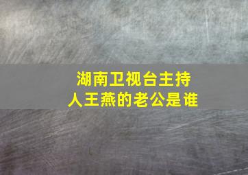 湖南卫视台主持人王燕的老公是谁