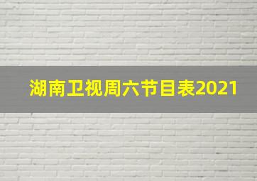 湖南卫视周六节目表2021