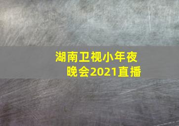 湖南卫视小年夜晚会2021直播