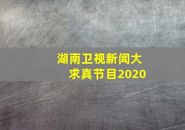 湖南卫视新闻大求真节目2020