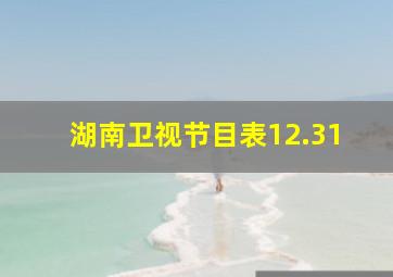 湖南卫视节目表12.31