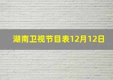 湖南卫视节目表12月12日