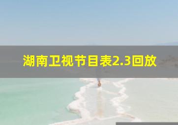 湖南卫视节目表2.3回放