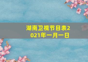 湖南卫视节目表2021年一月一日