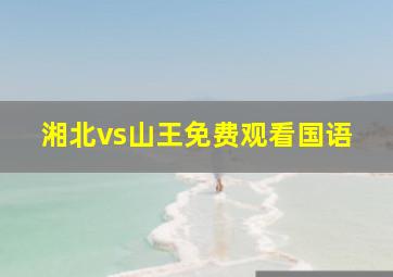 湘北vs山王免费观看国语