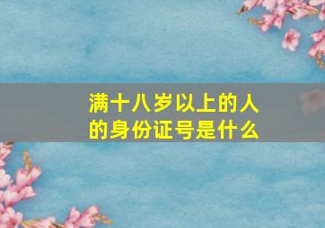 满十八岁以上的人的身份证号是什么