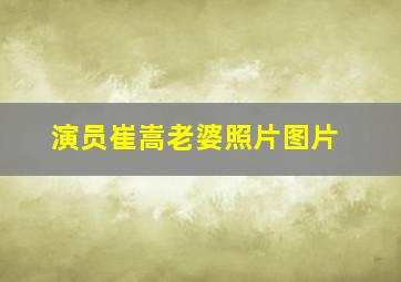 演员崔嵩老婆照片图片