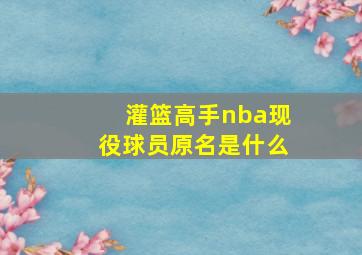 灌篮高手nba现役球员原名是什么