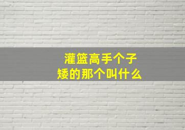 灌篮高手个子矮的那个叫什么