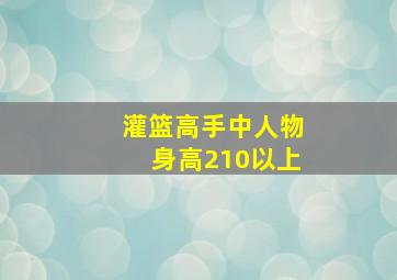 灌篮高手中人物身高210以上