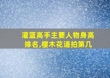 灌篮高手主要人物身高排名,樱木花道拍第几