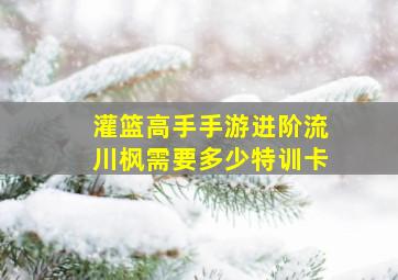 灌篮高手手游进阶流川枫需要多少特训卡