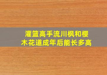 灌篮高手流川枫和樱木花道成年后能长多高