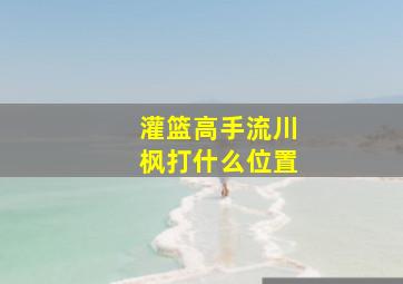 灌篮高手流川枫打什么位置