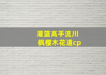 灌篮高手流川枫樱木花道cp