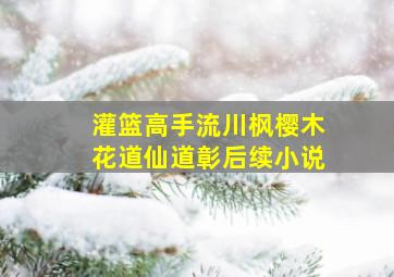 灌篮高手流川枫樱木花道仙道彰后续小说