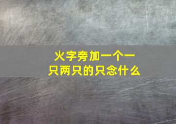 火字旁加一个一只两只的只念什么