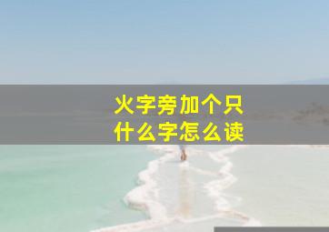 火字旁加个只什么字怎么读