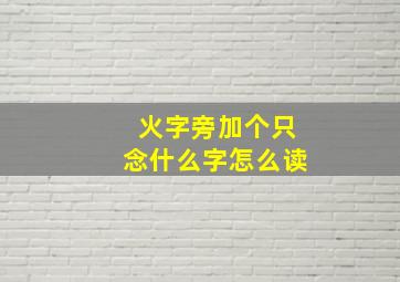 火字旁加个只念什么字怎么读