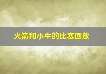 火箭和小牛的比赛回放