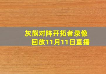 灰熊对阵开拓者录像回放11月11日直播